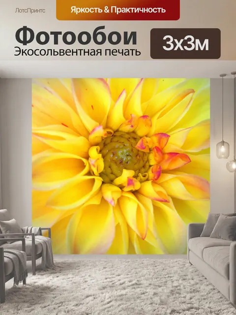 Фотообои Центр георгин