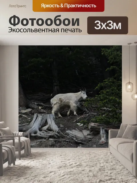 Фотообои Горный козел