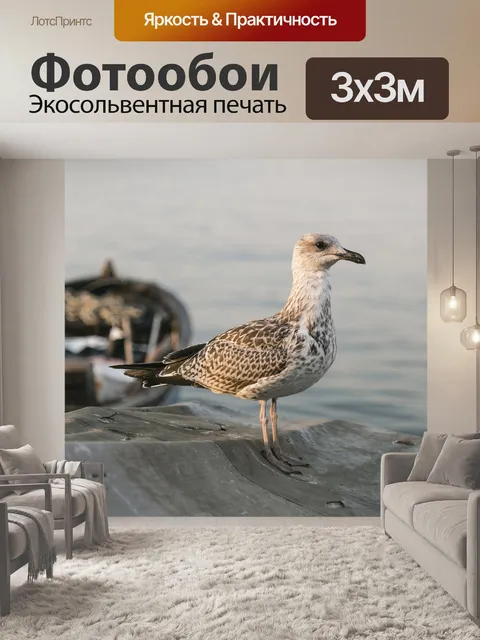 Фотообои Птица