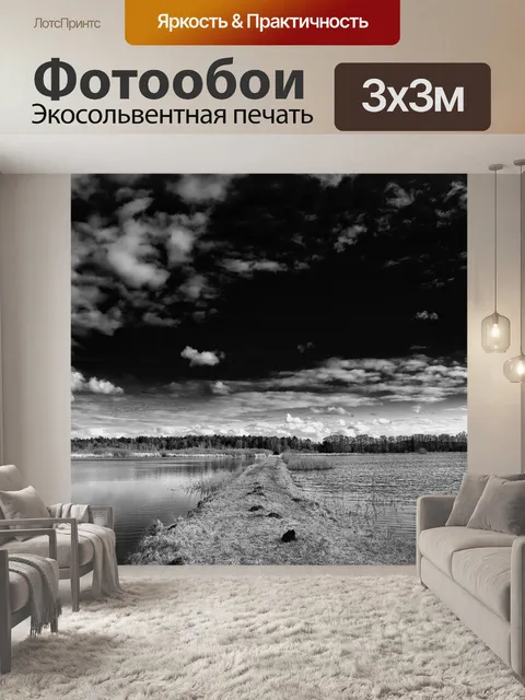 Фотообои Черно-белый