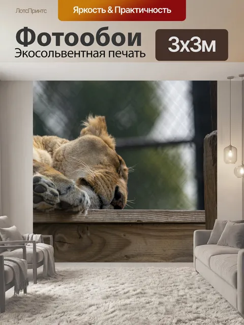 Фотообои Спящий лев