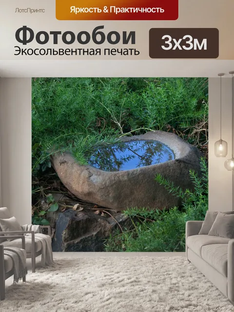Фотообои отражение в воде в птичьей ванне