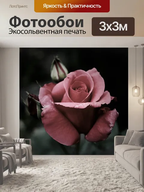 Фотообои Розовый