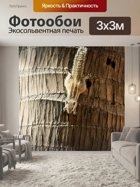 Фотообои Белка