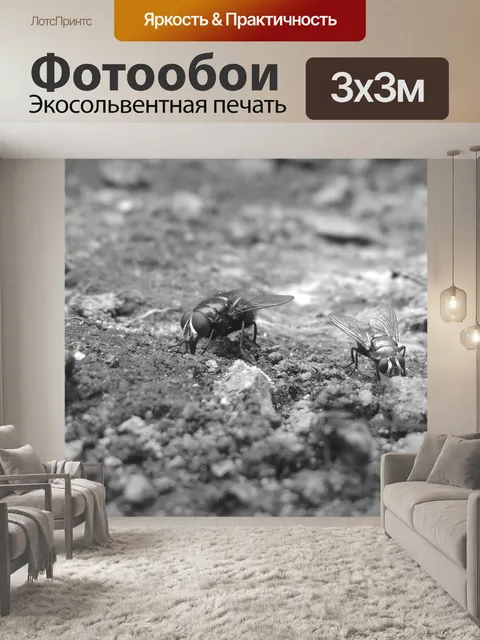 Фотообои Природа