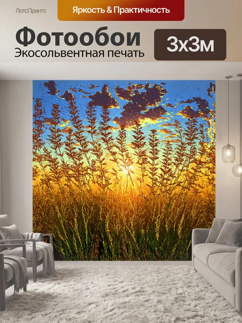 Фотообои гречиха на фоне заката, когда её цветы переливаются золотом