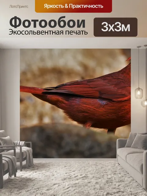 Фотообои Птица