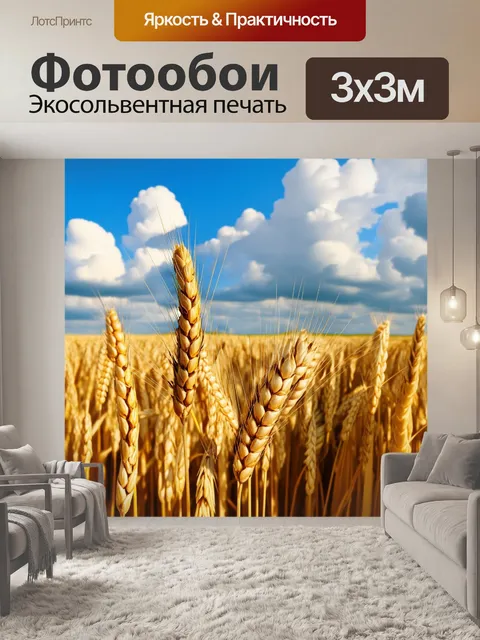 Фотообои зреет пшеница на летних полях, с небом, затянутым облаками; работа в крупном плане для подчеркивания деталей