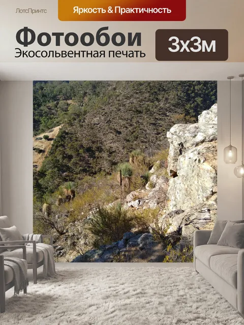 Фотообои декорации