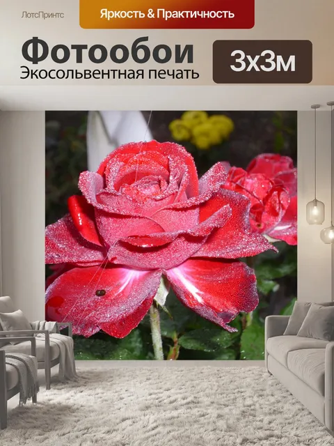 Фотообои Роза
