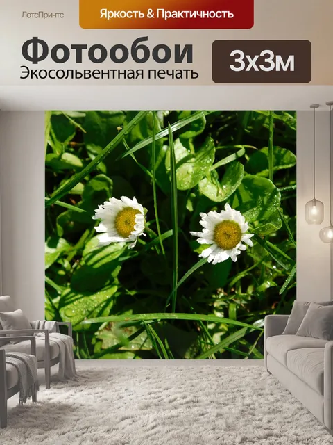 Фотообои Дейзи