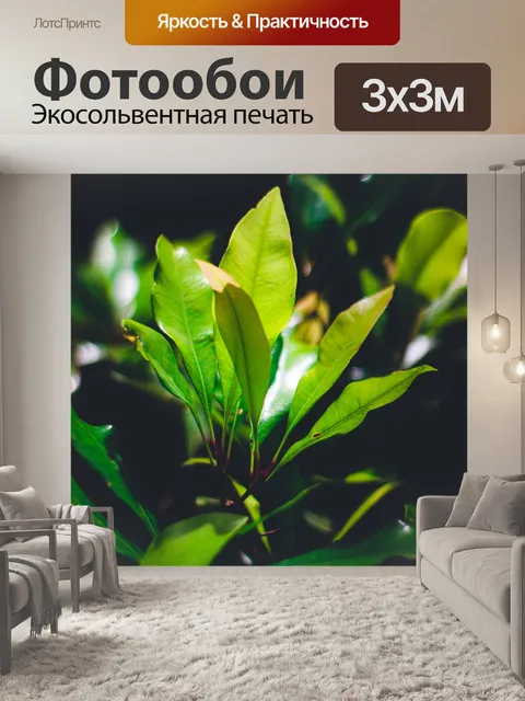 Фотообои Лист