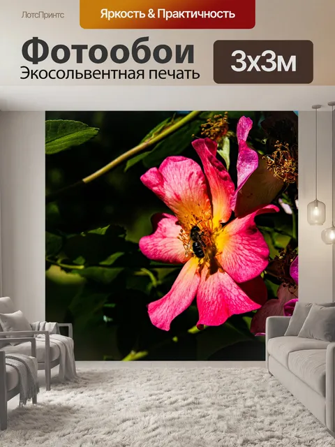 Фотообои Розовый