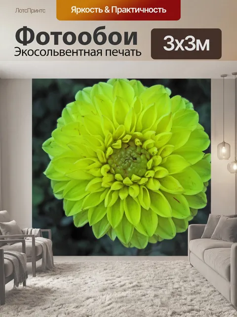 Фотообои желтые георгины