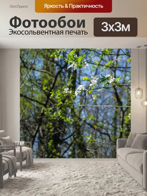 Фотообои Листья
