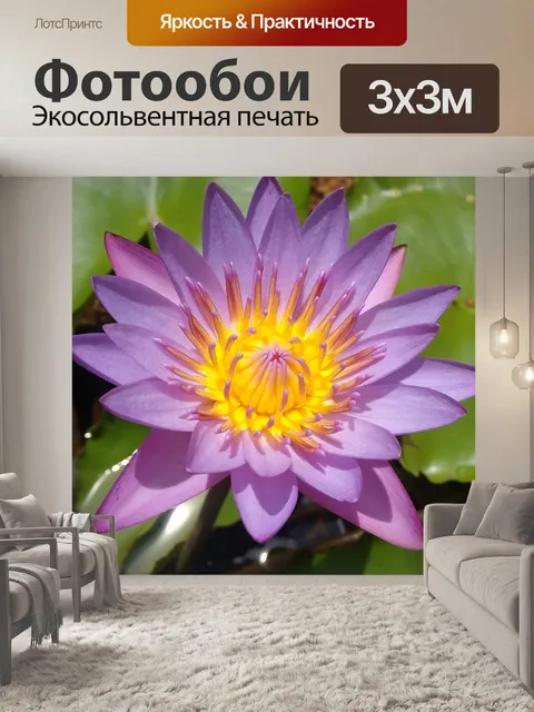 Фотообои Хамы
