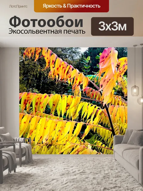 Фотообои Уксусное дерево