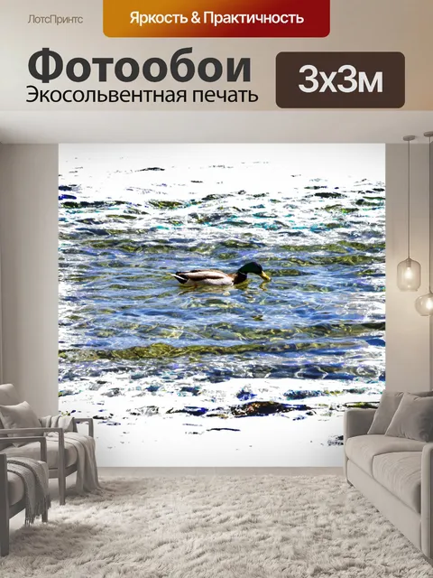 Фотообои Утка в воде