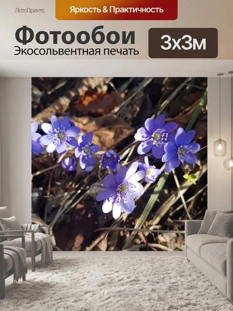 Фотообои Цветок