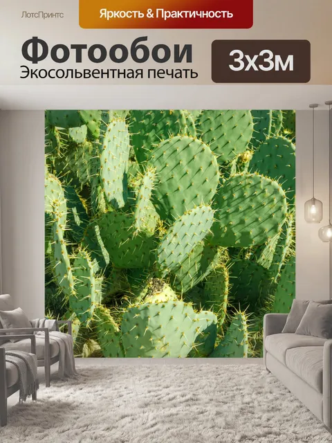 Фотообои Кактус опунции