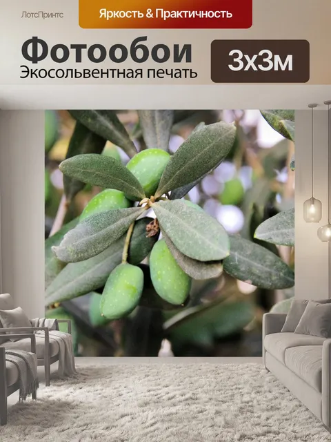 Фотообои Пылевые оливки
