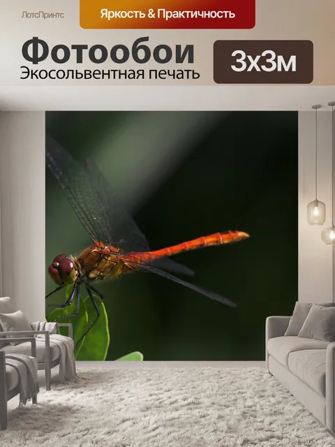 Фотообои Стрекоза
