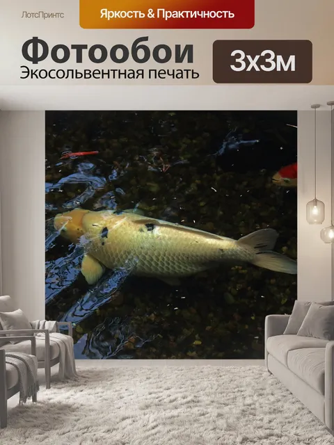 Фотообои большая белая рыба кои в пруду