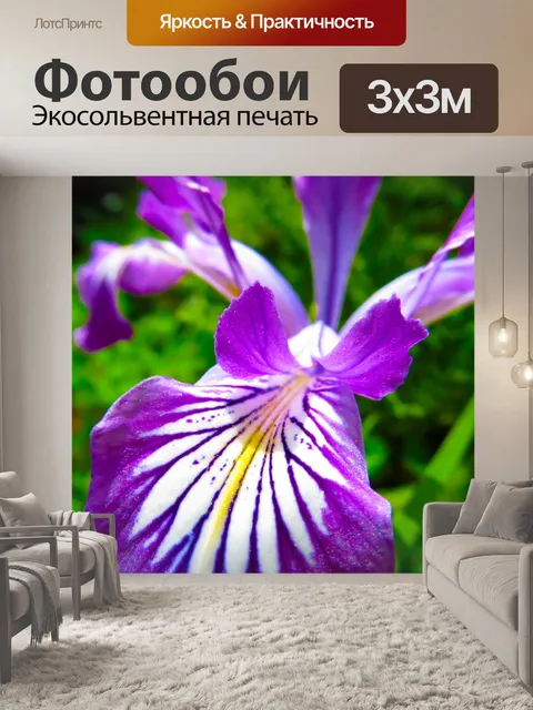 Фотообои дикий цветок ирис