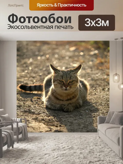 Фотообои Кошка