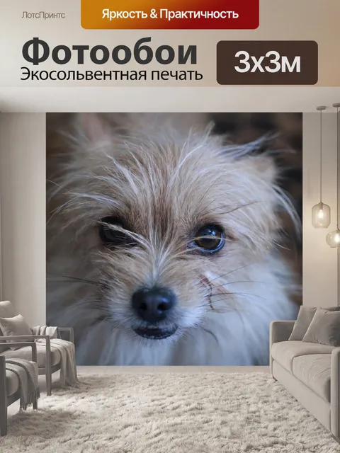 Фотообои Терьер