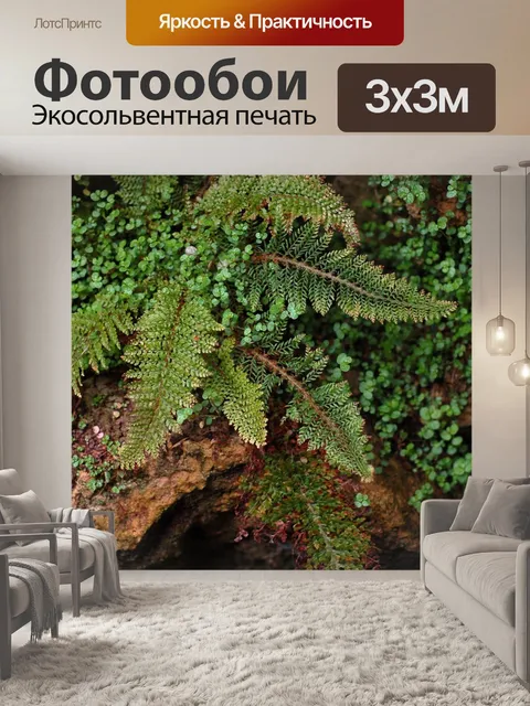 Фотообои Папоротник