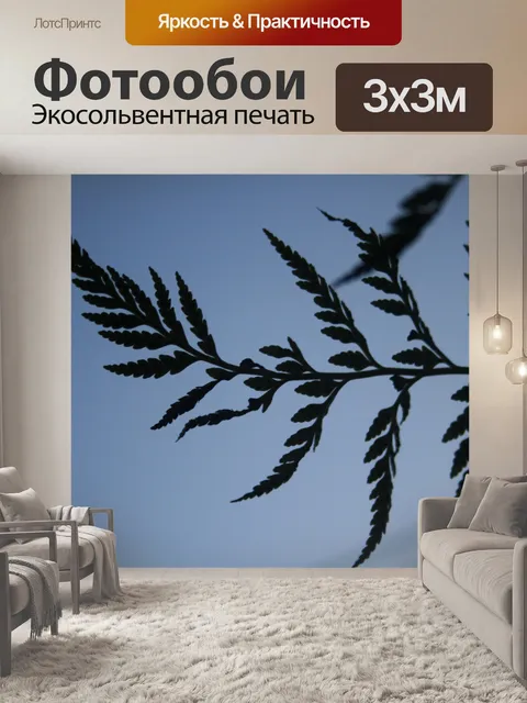 Фотообои папоротник на фоне неба