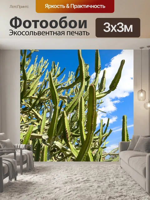 Фотообои Зеленые кактусы и голубое небо