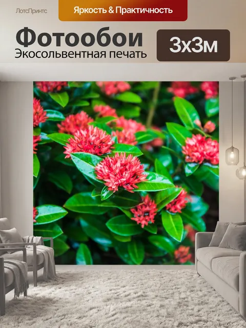 Фотообои Листья