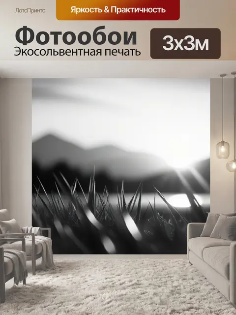 Фотообои пейзаж с закатом живопись чернобелый