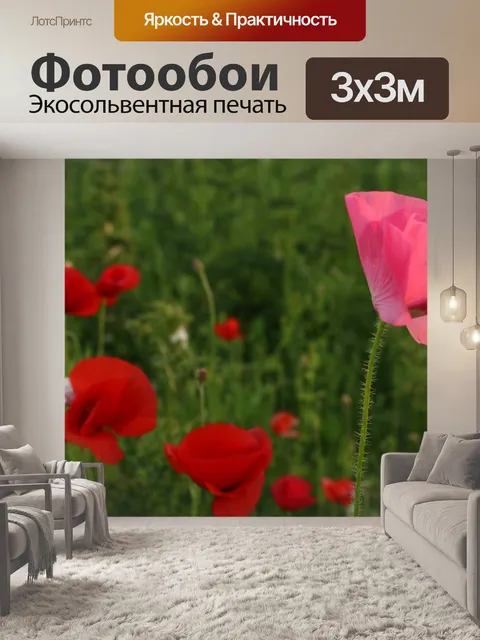 Фотообои Красочные Полевые цветы Красные маки