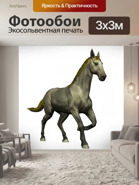 Фотообои ходьбе