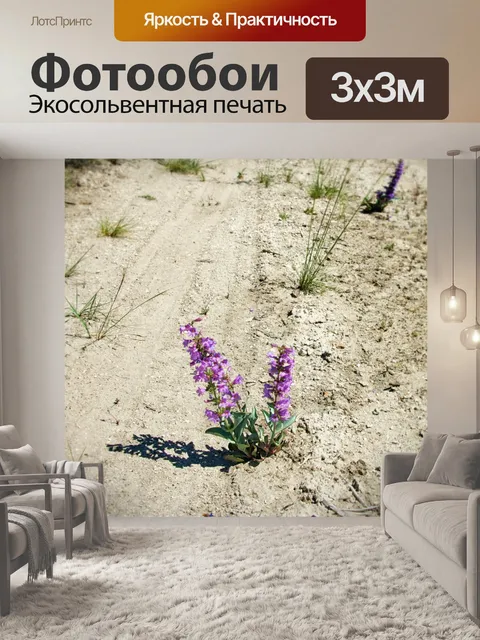 Фотообои Фиолетовый Уайлдфлауэр в Айдахо