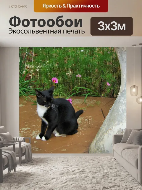 Фотообои черно-белый кот на мощение