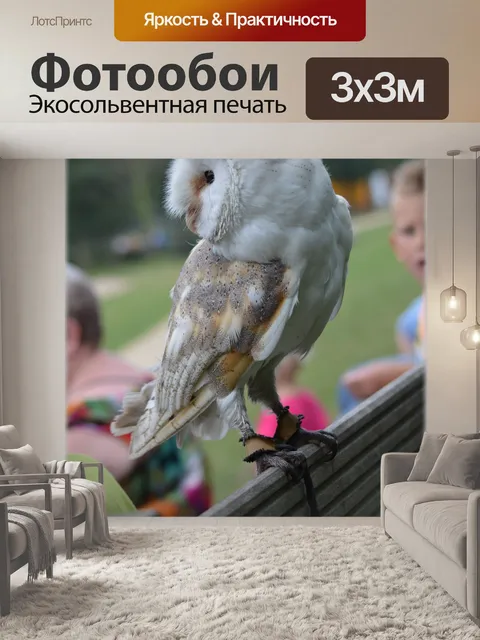 Фотообои Хищники 30