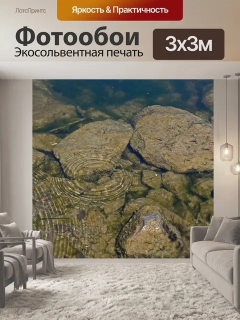 Фотообои Крошечный детеныш рыбы и пульсации