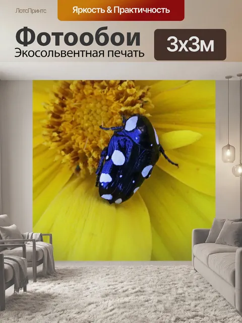 Фотообои Жакет с белыми пятнами
