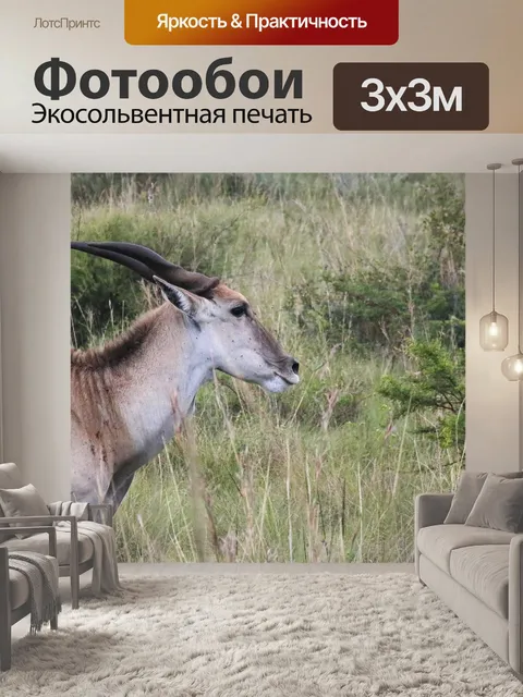 Фотообои вид на канун антилопы