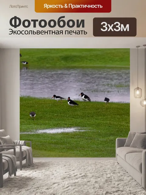 Фотообои Птица дикой природы