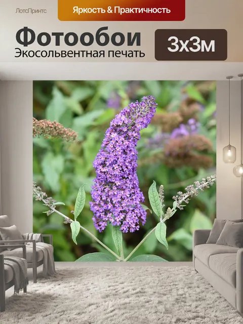 Фотообои Цветок