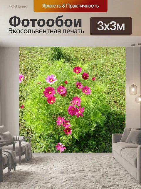 Фотообои Космос Соната 2018 5