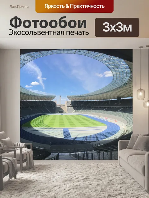 Фотообои Олимпийский