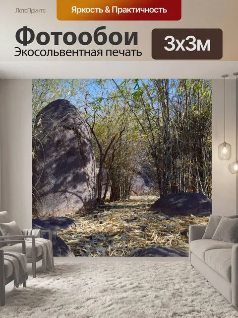 Фотообои Бамбуковый лес 4
