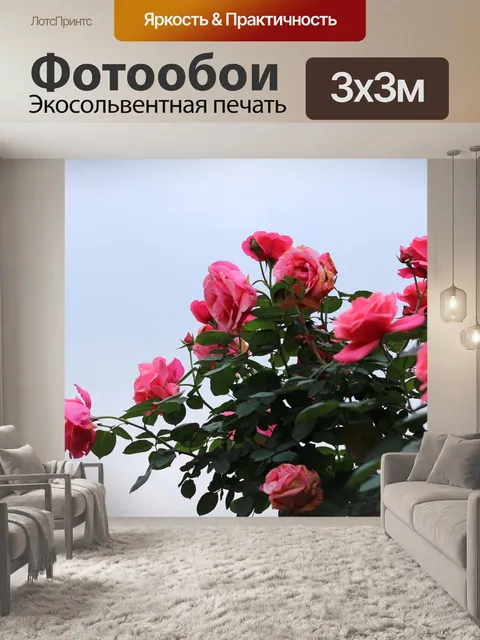 Фотообои Китайская роза