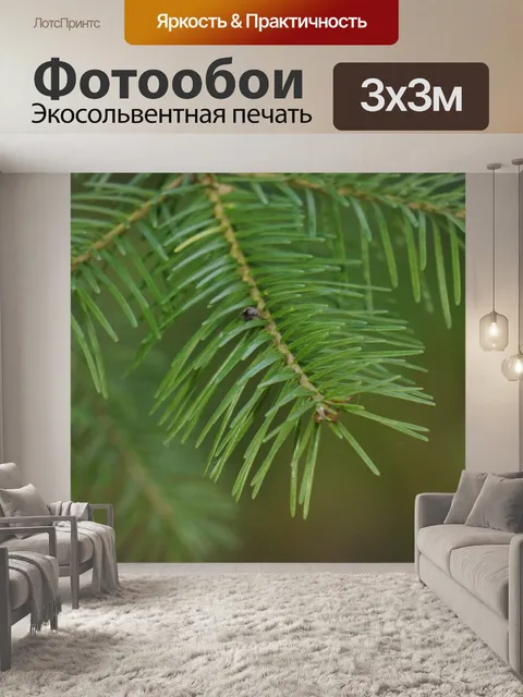 Фотообои Шесть